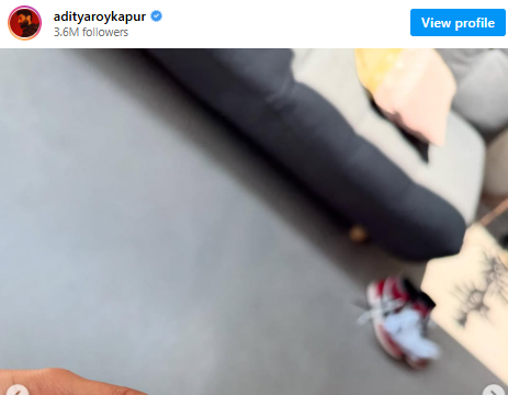 Mystery woman spotted on Aditya Roy Kapur's Instagram